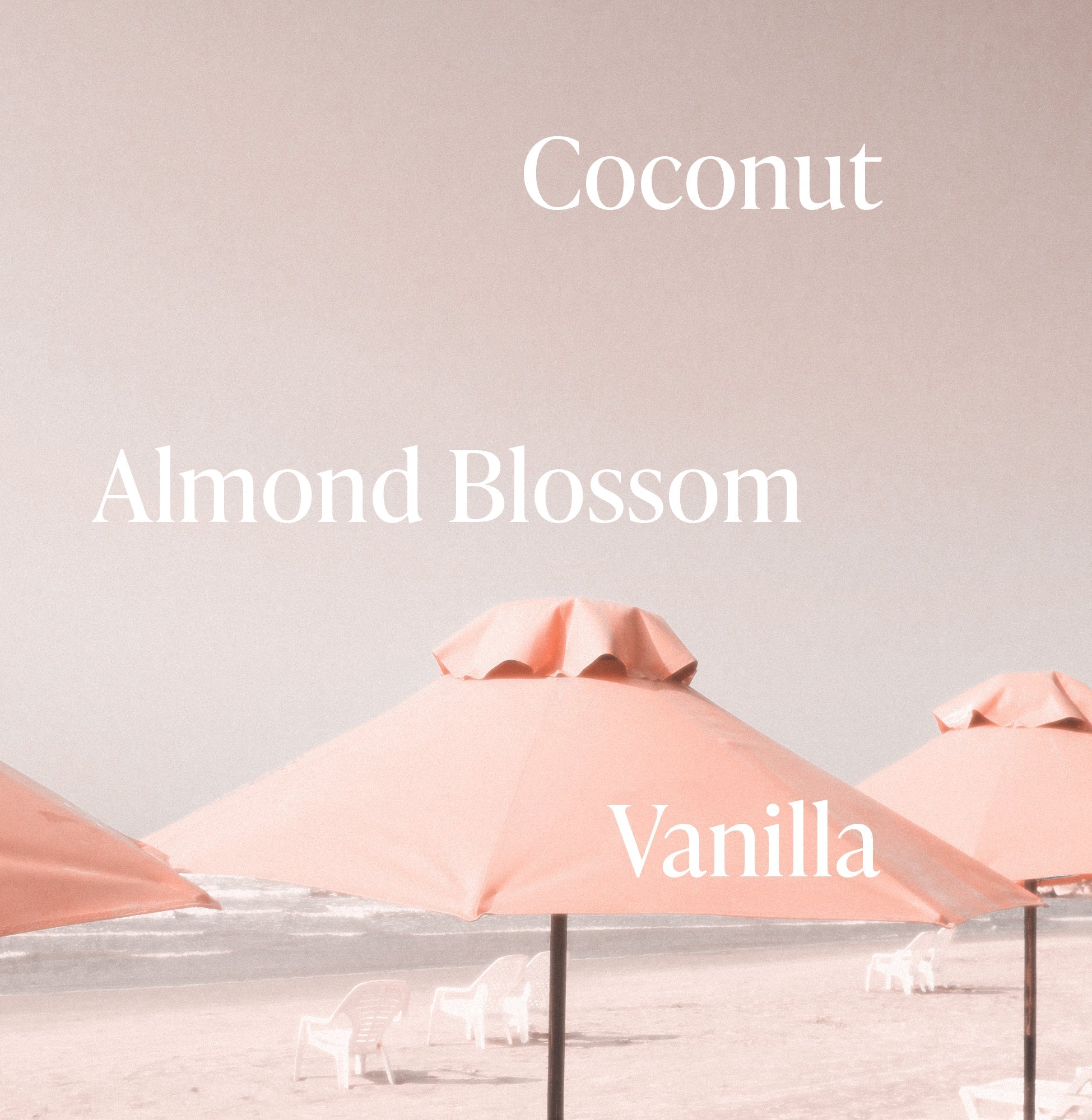 Pink Beach Shimmer + Glow Body Oil Duo